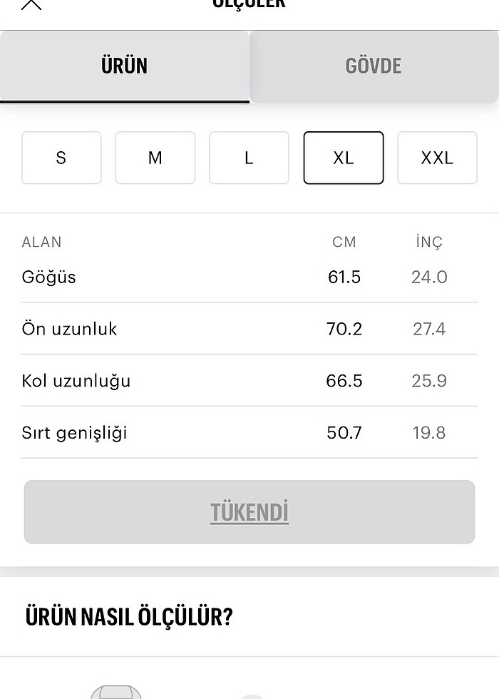 Pull&Bear Erkek Basic Kısa Ceket - Görsel 2