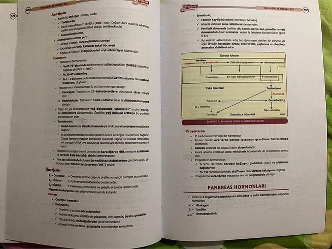 Beden Renk TUSDATA BİYOKİMYA 2.KİTAP