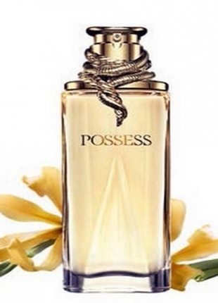 Posses Edp 