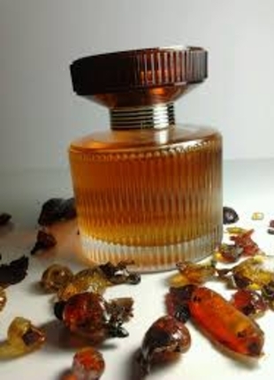 AMBER ELİXİR EDP 