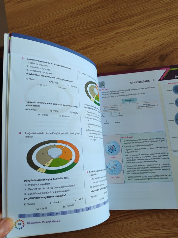 10. Sınıf 20 Dakikada Biyoloji Öğrenci Defteri - Görsel 3