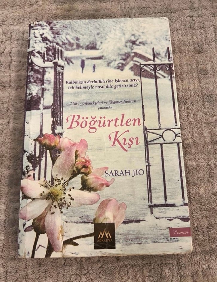 Roman kitapları. Adet fiyatıdır. - Görsel 4