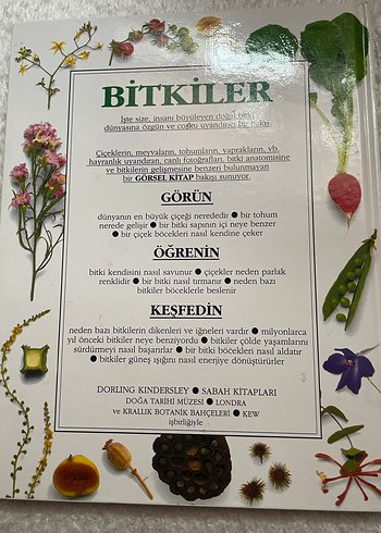 Bitkiler - Yapıları ve Yaşam Öyküleri Kitabı - Görsel 2