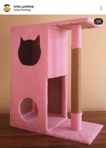 Kedi evi 