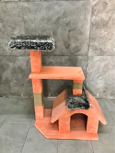 Kedi evi 