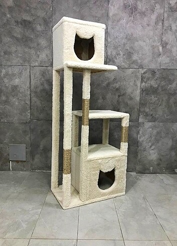  Kedi evi 