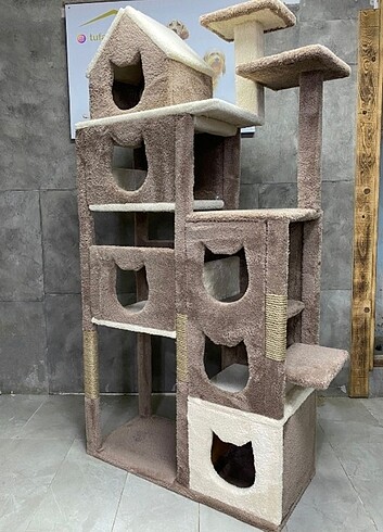  Kedi evi 