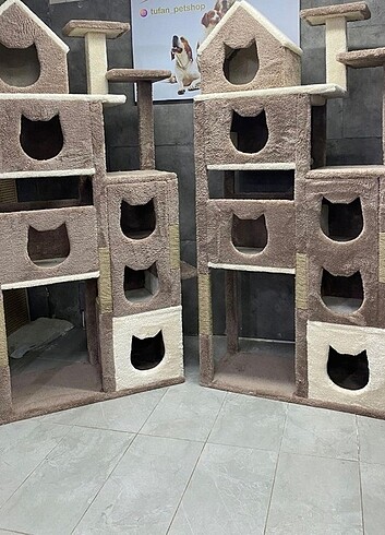Kedi evi 