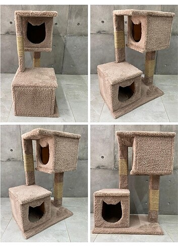 Kedi evi 