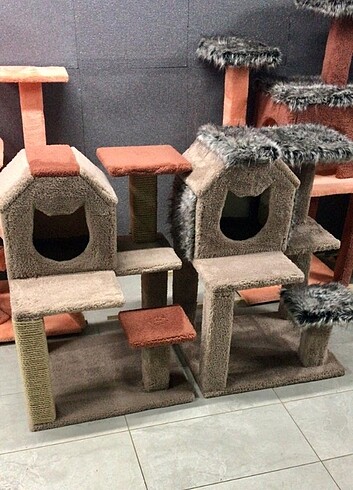Kedi evi 