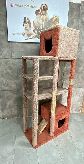 Kedi evi 