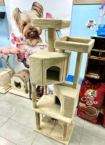  Beden Kedi evi 
