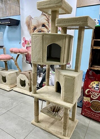  Beden Renk Kedi evi 