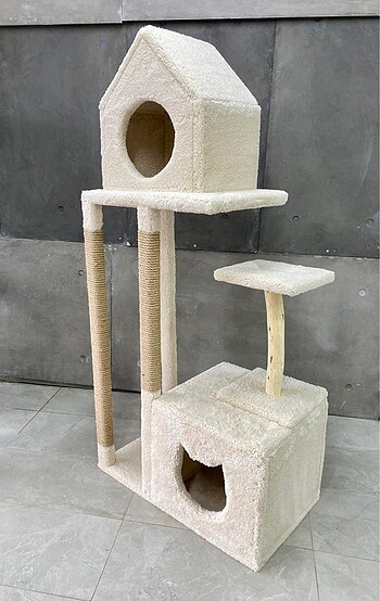  Kedi evi