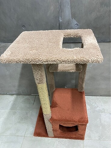  Beden Renk Kedi evi