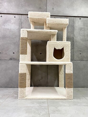  Kedi evi