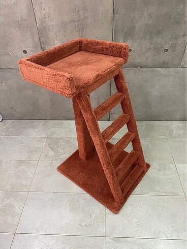  Kedi tırmalama