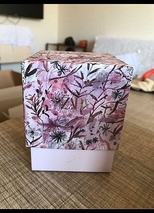 Zara parfum Violet Blossom