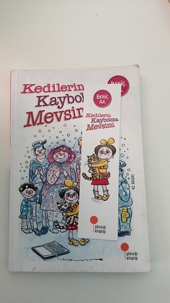  Kedilerin Kaybolma Mevsimi