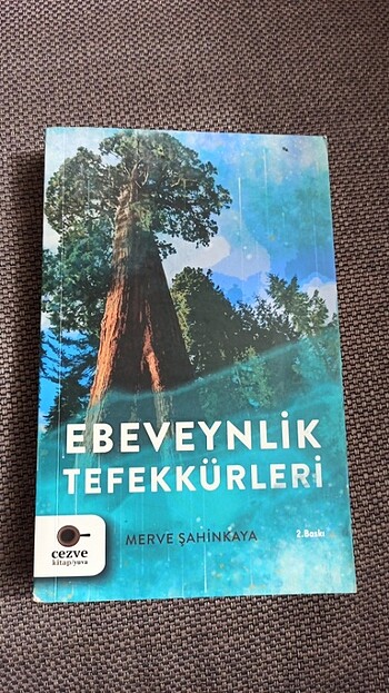 Kitap 