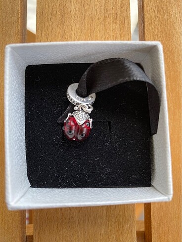 Uğurböceği Charm