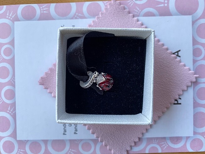  Beden Uğurböceği Charm