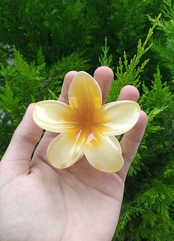 Aloha Toka
