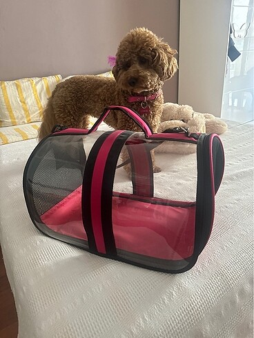Kedi köpek çantası