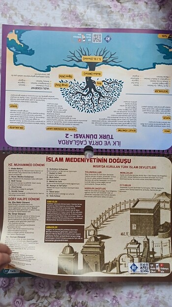  Beden Renk TYT Tarih 