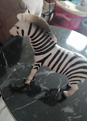  Beden Renk Zebra ve zürafa 