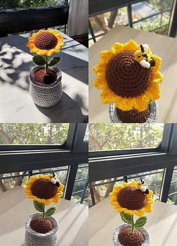  Örme ayçiçeği