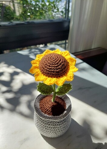 Örme ayçiçeği