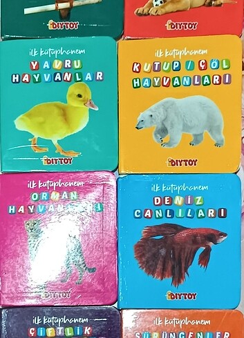 0/3 yaş Hayvanları öğrenme ilk kütüphanemden 