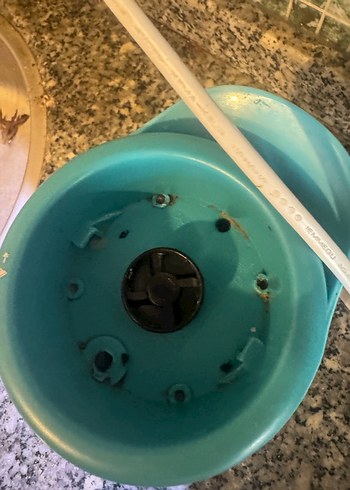 Vestel My Go Turkuaz Blender - Görsel 3