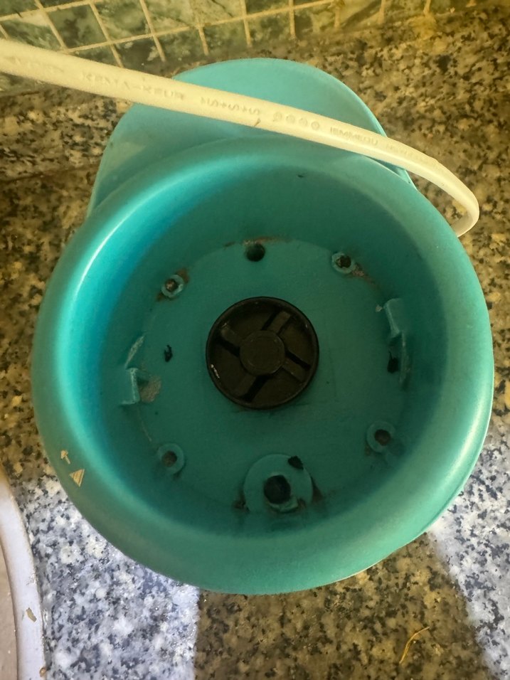 Vestel My Go Turkuaz Blender - Görsel 4