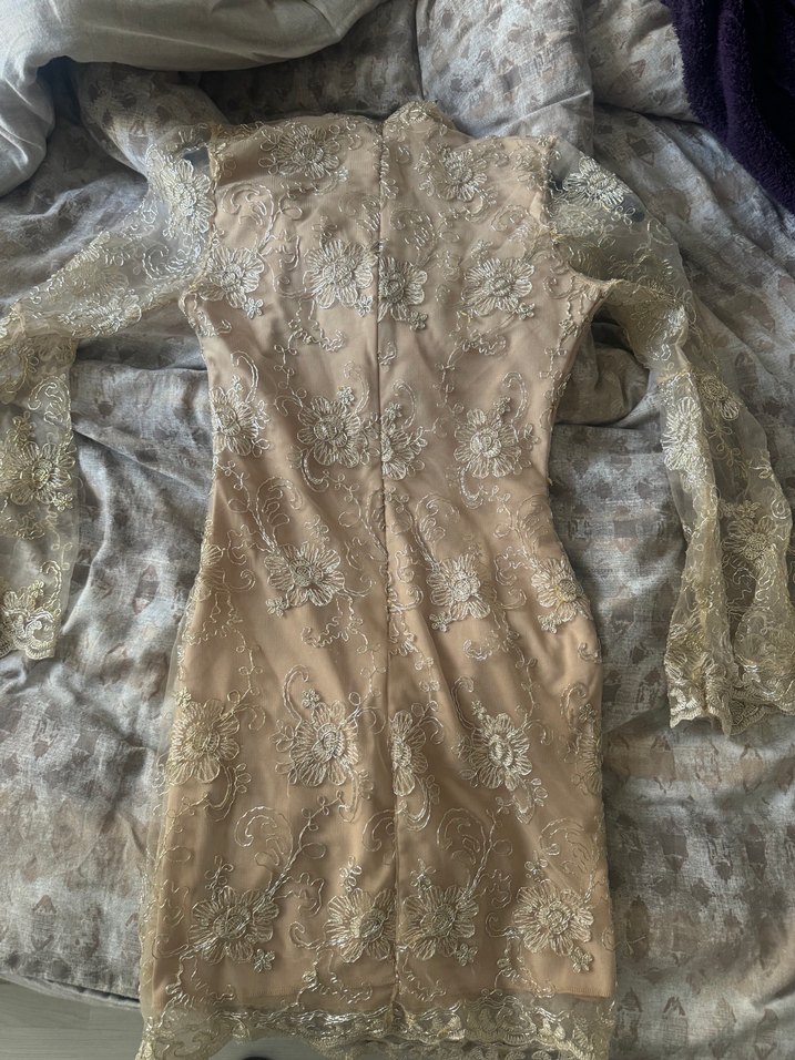 Dantel İşlemeli Bej Vintage Uzun Kollu Elbise - Görsel 2