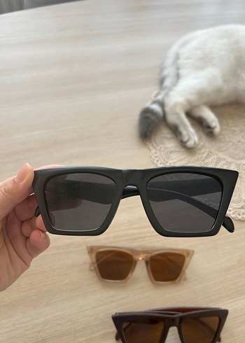Beden Şeffaf Bohem Kadın 3lü Güneş Gözlüğü