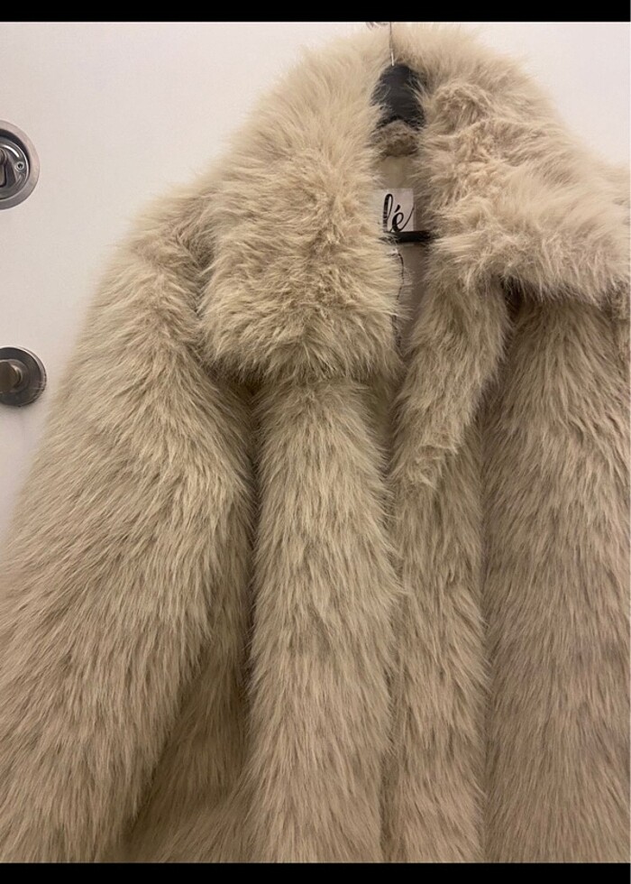 KÜRK TERTEMİZ - Görsel 2