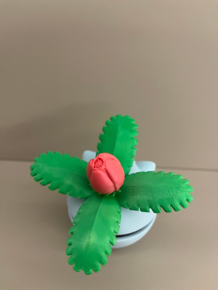 Pokemon Ivysaur Poketopu - Görsel 4