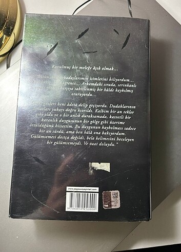 Becca Fitzpatrick Fısıltı