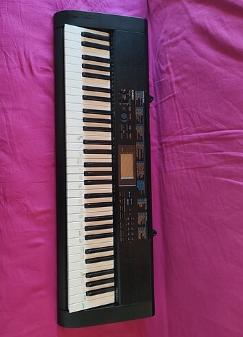 Casio org