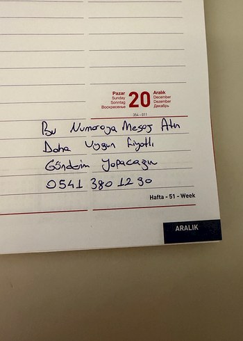 Gei İşlemeli Uzun Kollu Abiye Elbise - Görsel 5