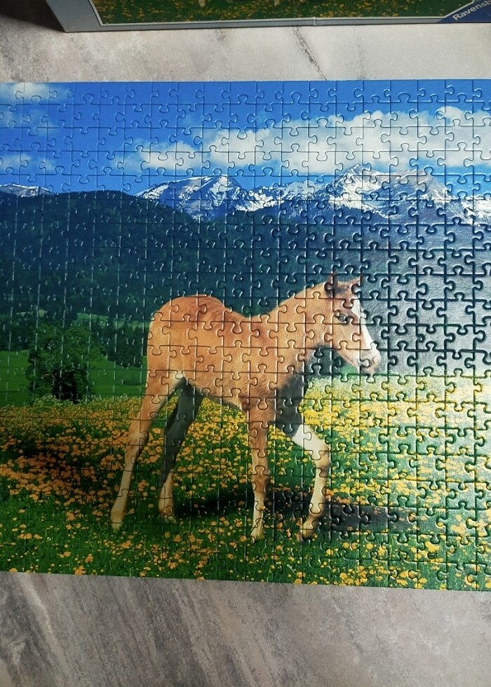 Puzzle - Görsel 4
