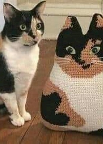 kırlent - Görsel 3