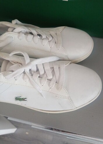 Lacoste Lacoste 