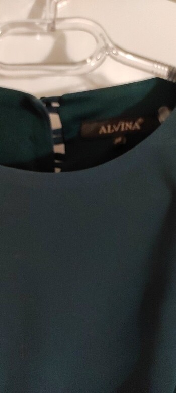 38 Beden çeşitli Renk Alvina 