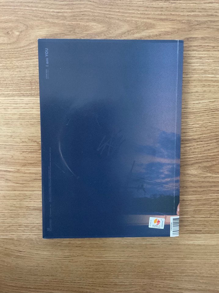 I AM YOU Stray Kids albüm - Görsel 2