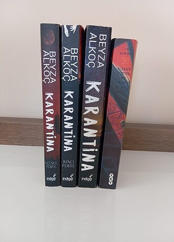 Beden Renk Karantina kitap