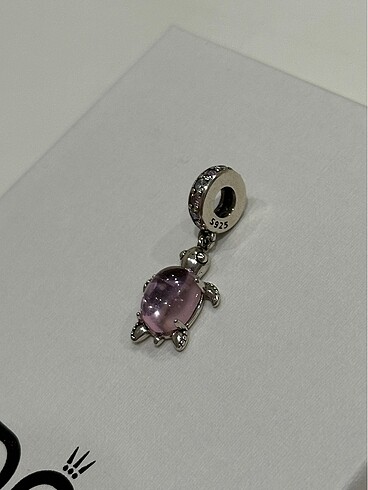 Beden Kaplumbağa Charm