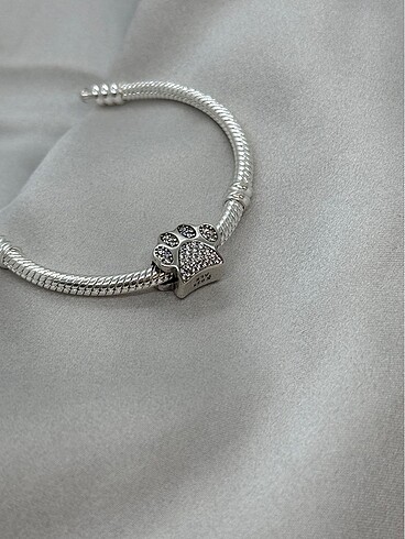 Pandora Pati charm